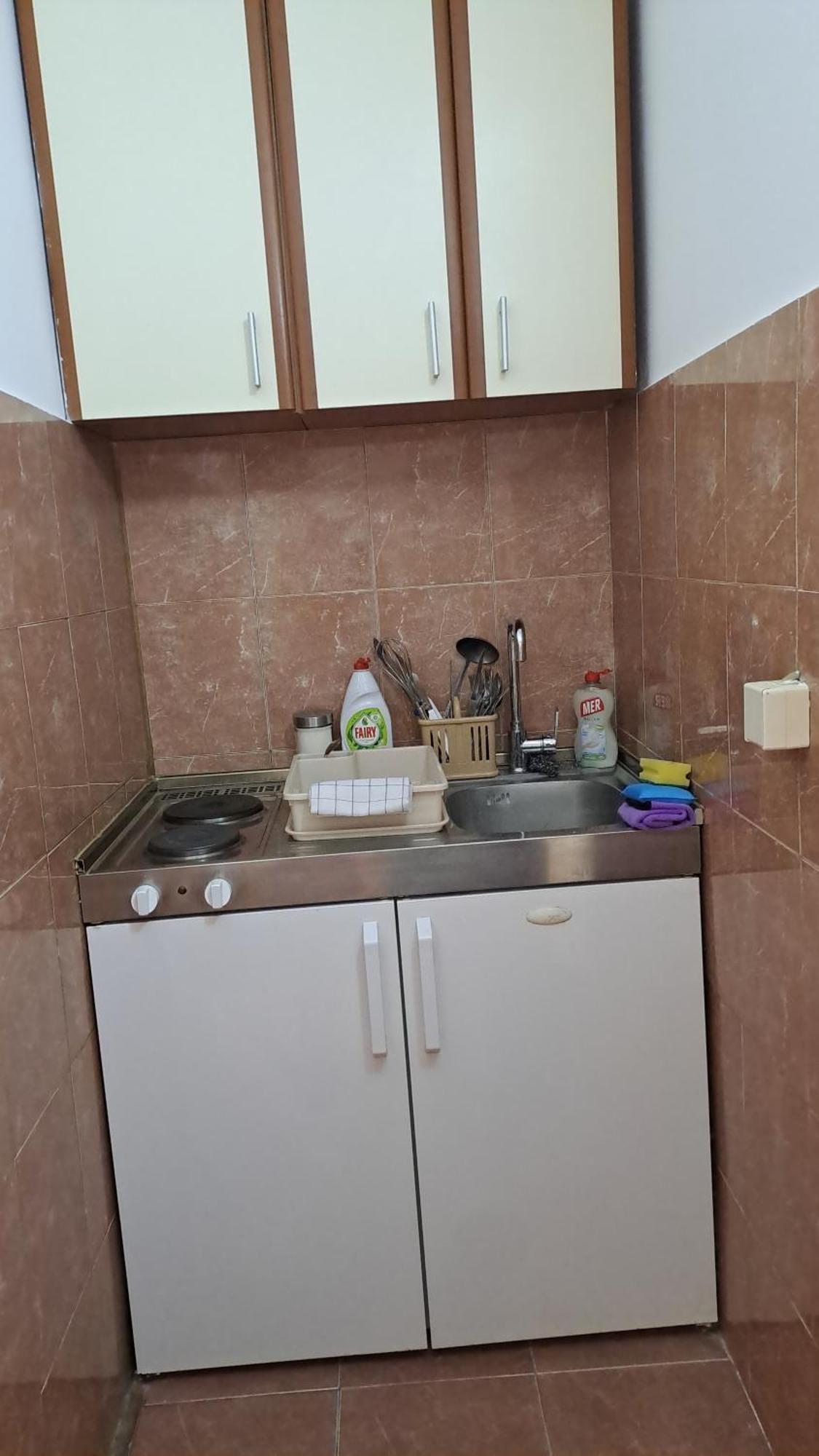 Apartment Vesna 1 *